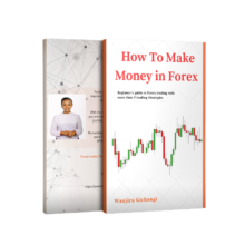 How to make money in forex book by Wanjiru Gichangi