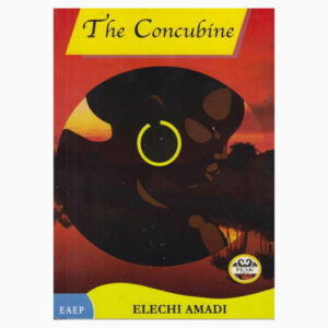 The Concubine book by Elechi Amadi