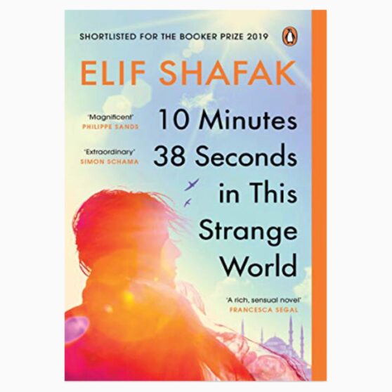 10 minutes 38 seconds in this strange world by Elif Shafak