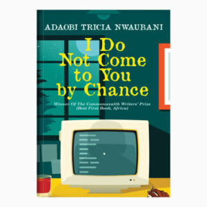 I Do Not Come to You by Chance book by Adaobi Tricia Nwaubani