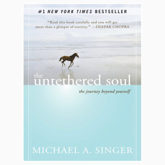 Untethered soul the journey beyond yourself book by Michael A SingerUntethered soul the journey beyond yourself book by Michael A Singer