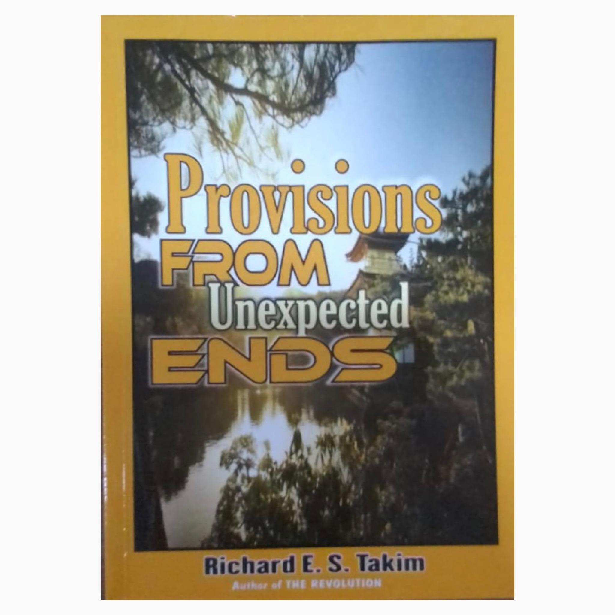 Provisions from unexpected ends book by apostle Richard E S Takim