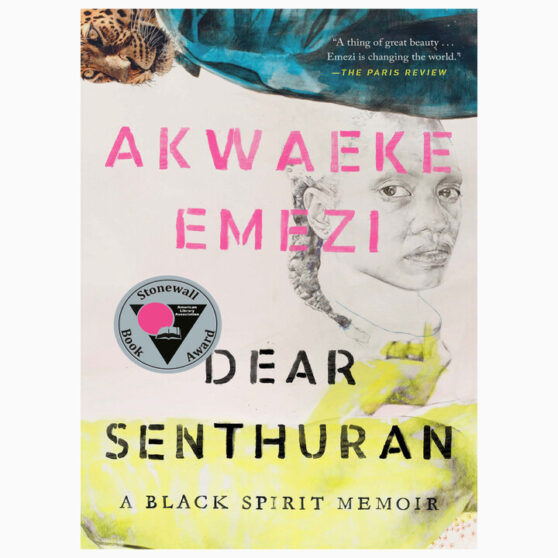 Dear Senthuran: A Black Spirit Memoir book by Akwaeke Emezi
