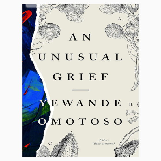 An Unusual Grief book by Yewande Omotoso