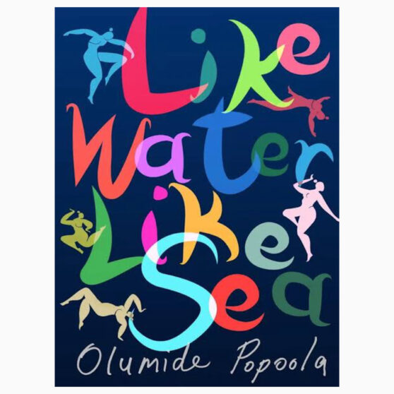 Like Water Like Sea book by Olumide Popoola