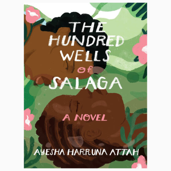 The Hundred Wells of Salaga book by Ayesha Harruna Attah