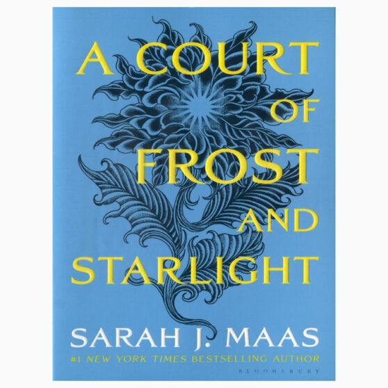 A Court of Frost and Starlight by Sarah J. Maas