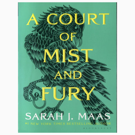 A Court of Mist and Fury by Sarah J. Maas