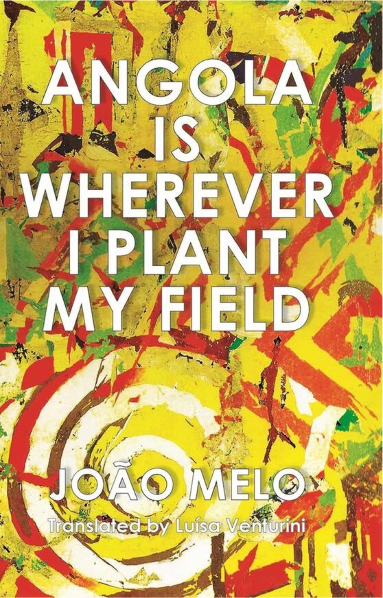 Angola is Wherever I Plant My Field by João Melo