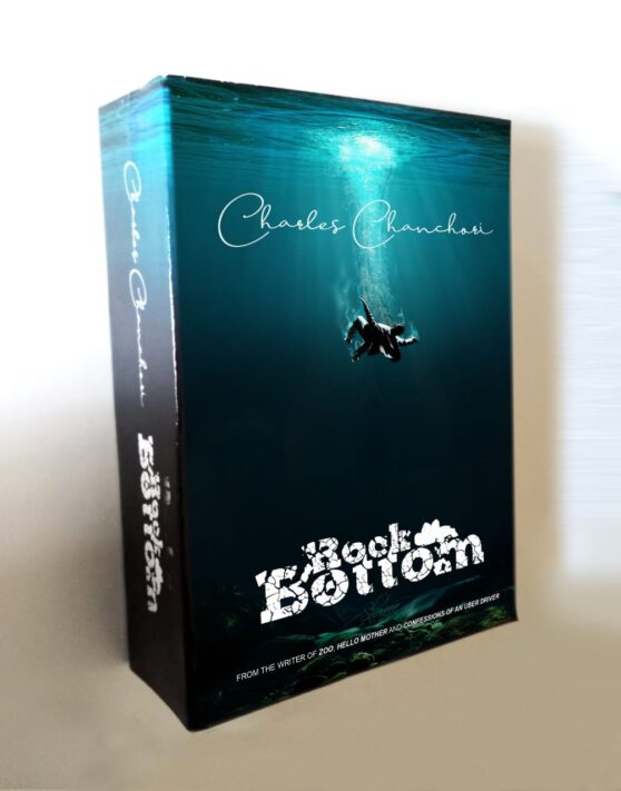 Rock Bottom by Charles Chanchor