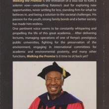 Walking the Promise by Ratemo Michieka