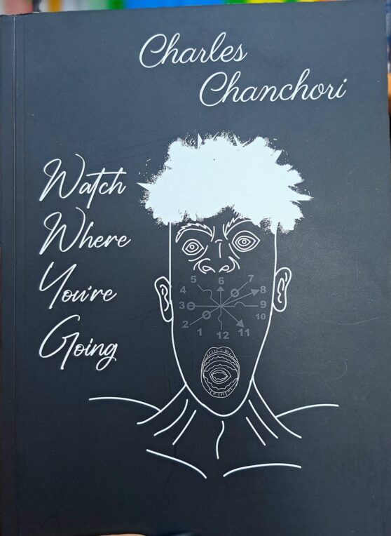 Watch Where You’re Going by Charles Chanchori