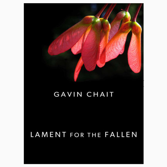 Lament for the Fallen by Gavin Chait