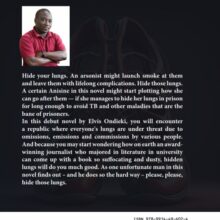 Hide Your Lungs back cover