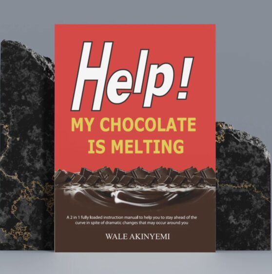 Help My Chocolate is Melting book by Wale Akinyemi