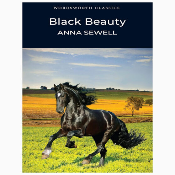 Black Beauty by Anna Sewell