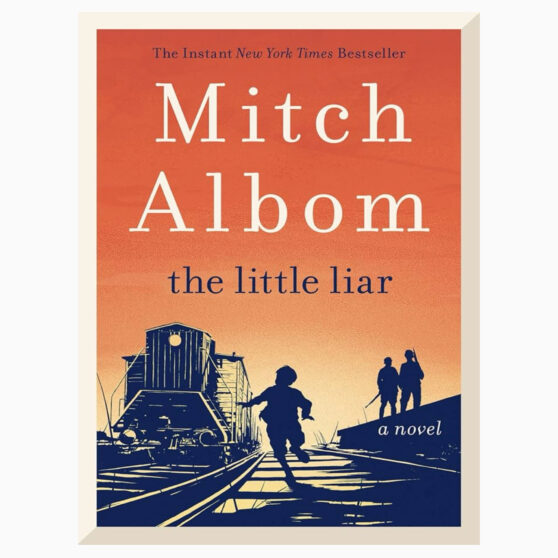The Little Liar A Novel by Albom, Mitch