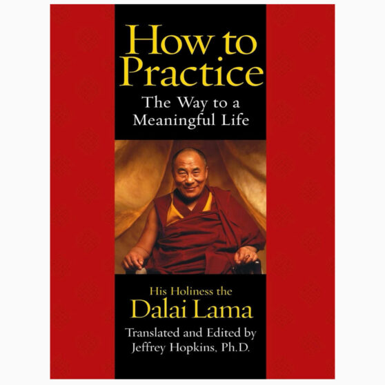 How To Practise The Way to a Meaningful Life by Lama, Dalai
