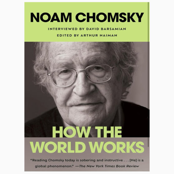How the World Works (Real Story by Chomsky, Noam, Barsamian, David, Naiman, Arthur