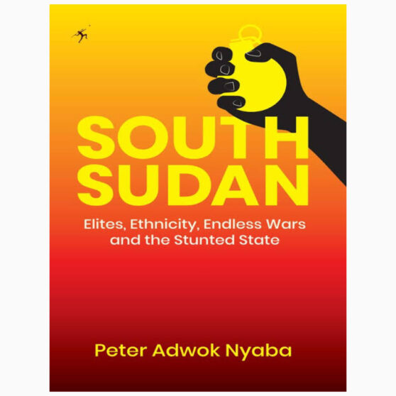 South Sudan The State We Aspire to be by Nyaba, Peter Adwok