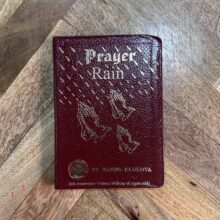 Prayer Rain book by Dr D.K. Olukoya (Leather)