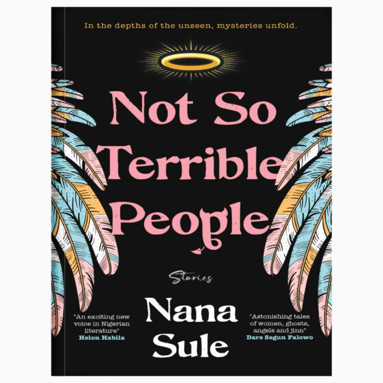 Not So Terrible People Short Stories By Nana Sule